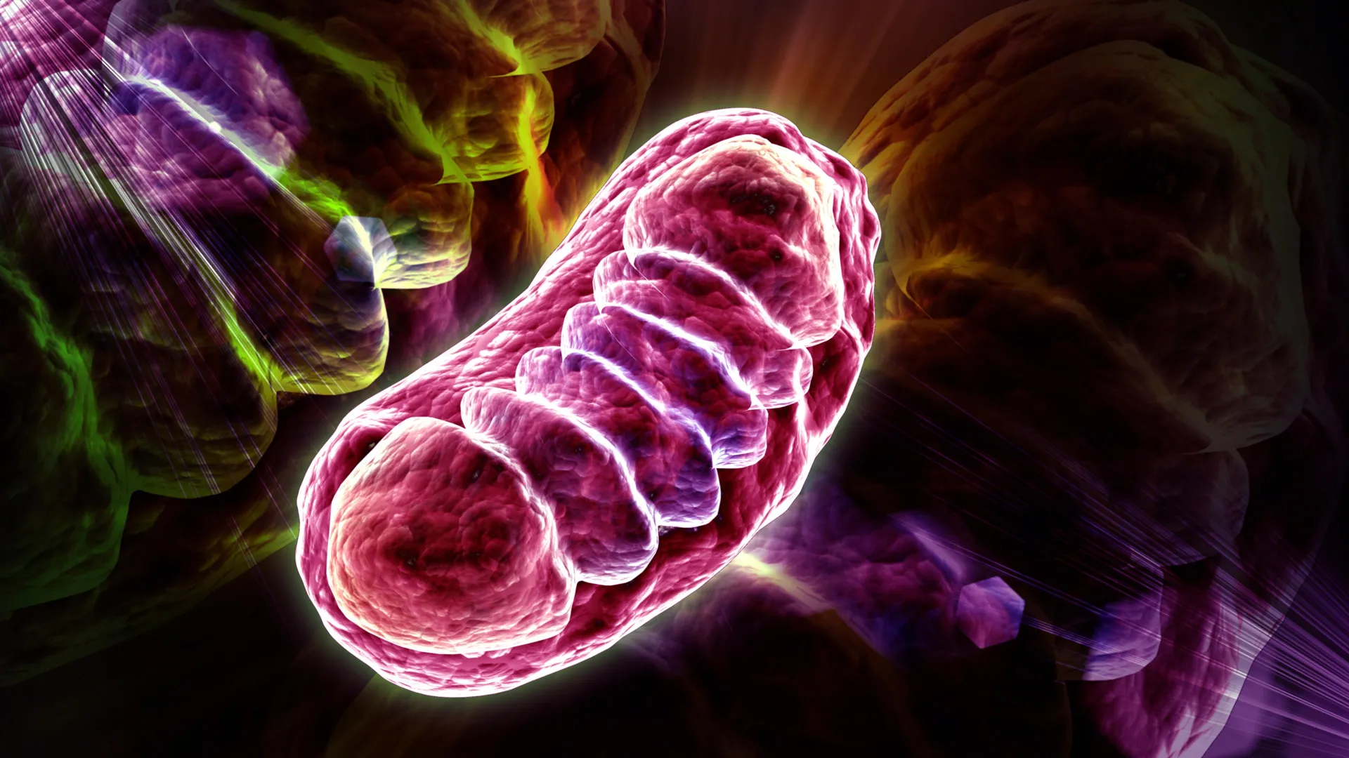 Too much RNA can starve cells of energy, scientists discover